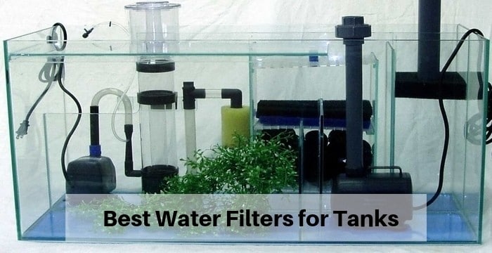 Best Water Filters for Tanks and Fish 