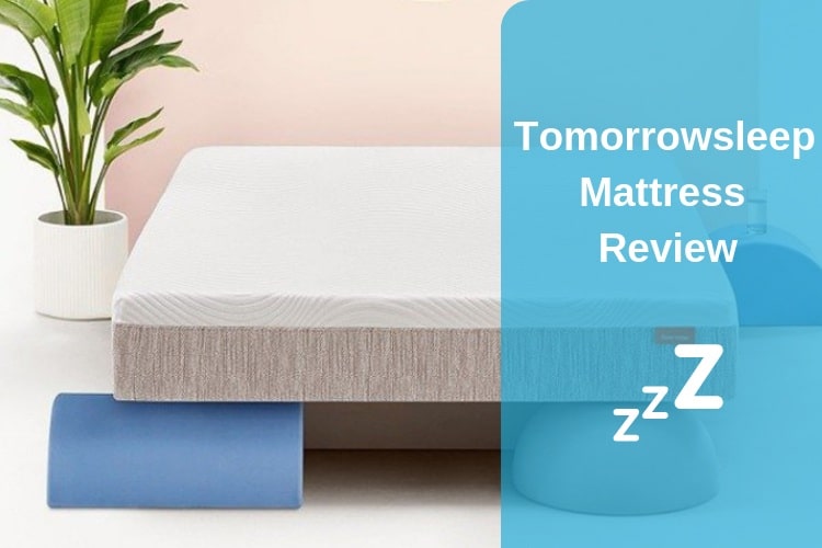 tomorrow sleep mattress rating