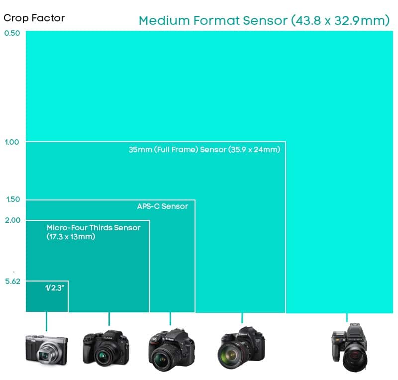 Camera Sensor Size Comparison Chart