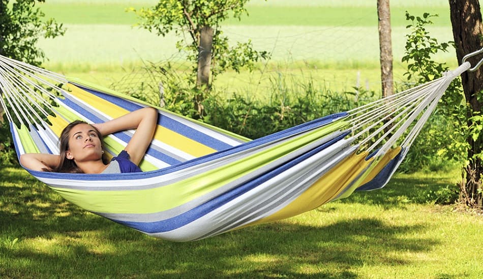 Free from Bedbugs with hammock