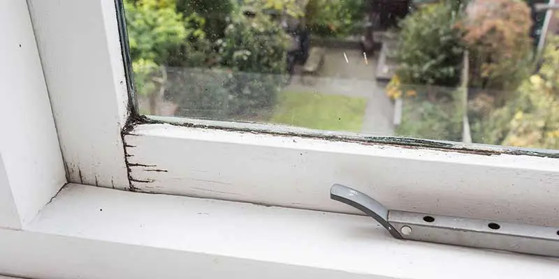 Window Seal: What When It’s Broken?