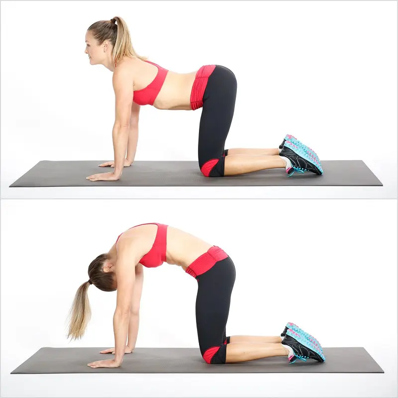 Best Stretches Lower Back Pain