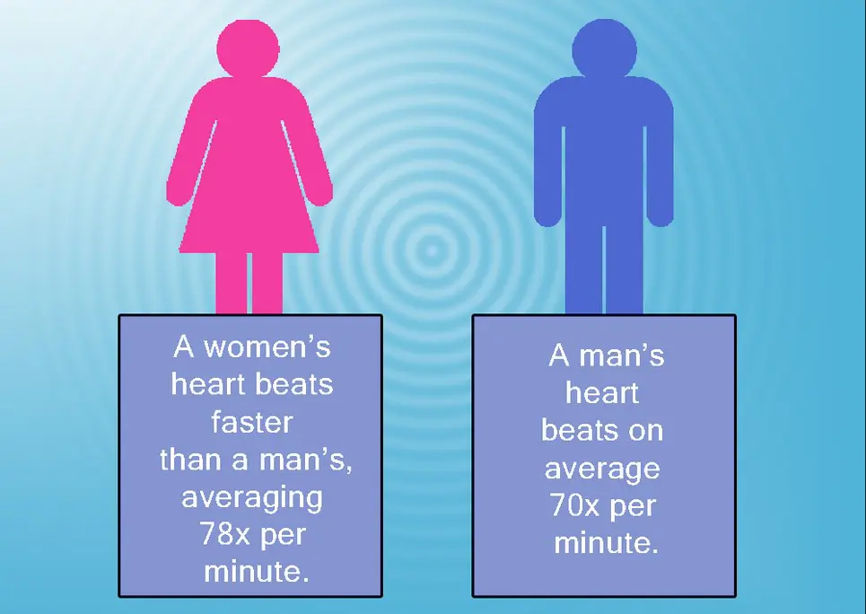 Average Resting Heart Rate Age: Important