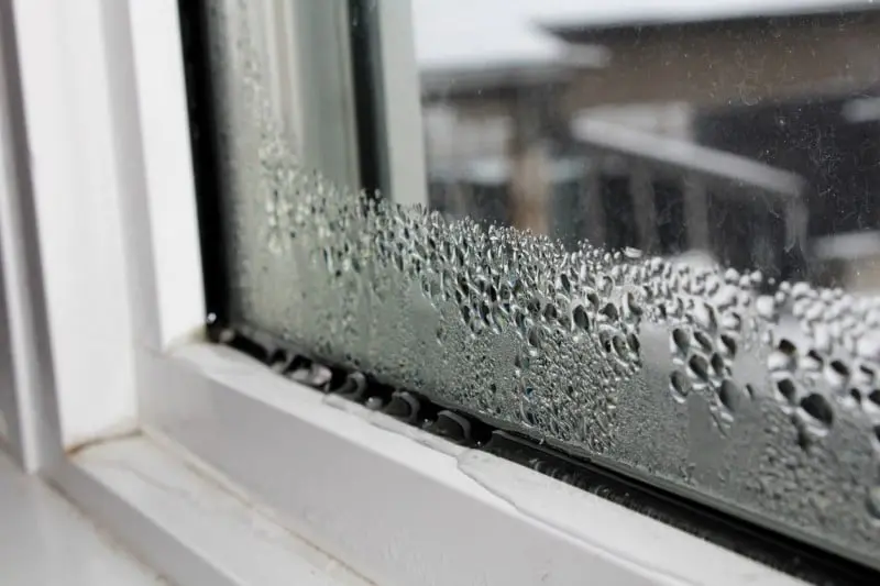 Window Seal: What When It’s Broken?