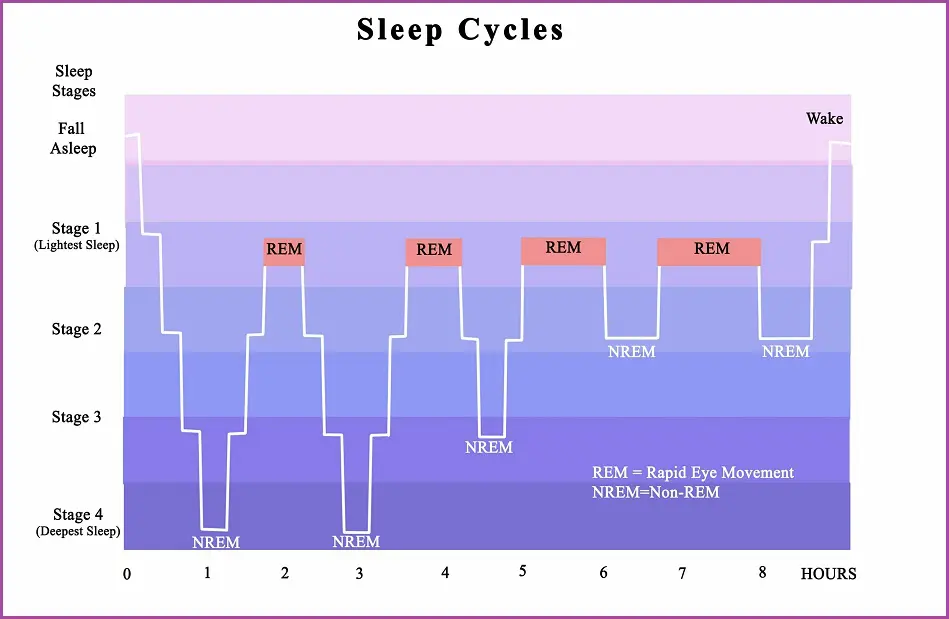 Sleep Calculator: Make Best Feel Following