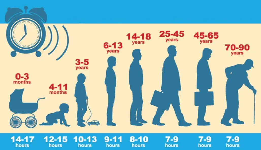 Sleep Calculator: Make Best Feel Following