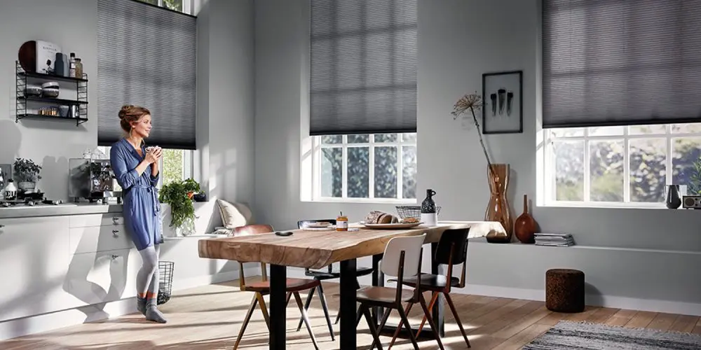 Really Smart Blinds: Motorized Blinds 2020