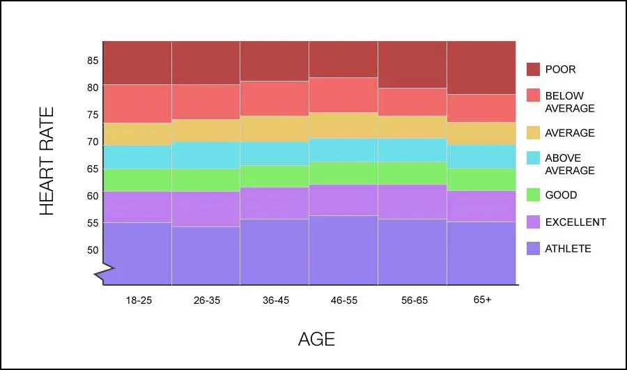 Average Resting Heart Rate Age: Important