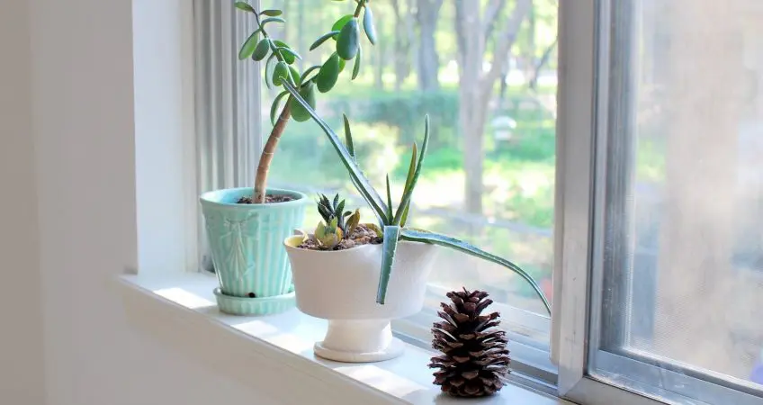 Window Sills: Everything Need Know