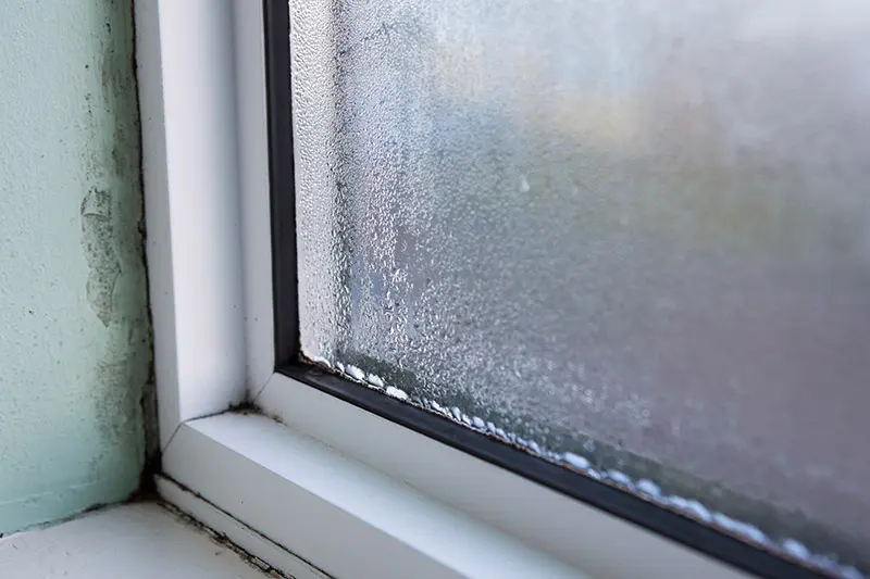 Window Seal: What When It’s Broken?