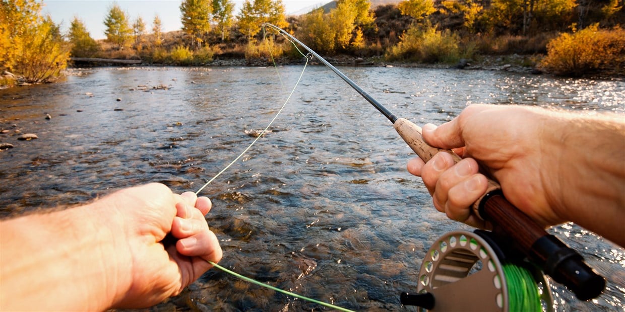 how-a-fly-fishing-rod-works-down-fly-adventures