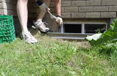 Easy Steps Replace Basement Window