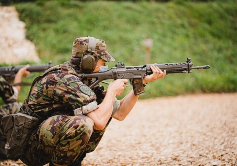 Gun