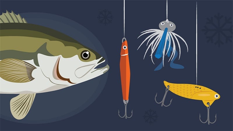 Baits To Use When Catching Bass
