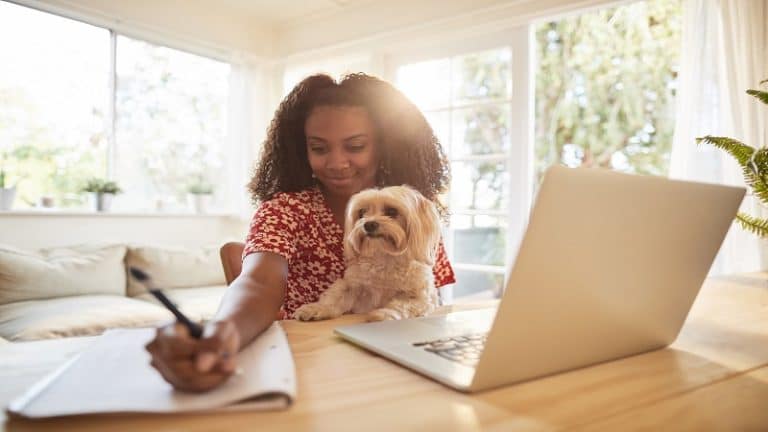 How Dog Insurance Actually Works