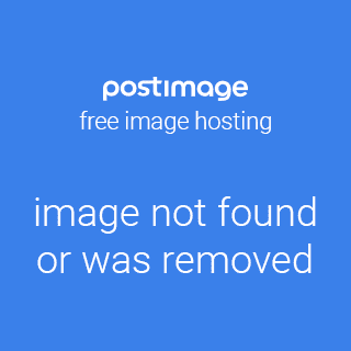 Browsing the Plugin Store
