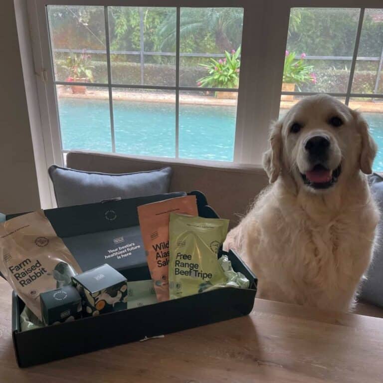 My 3-Month Journey with Front of the Pack Dog Supplements