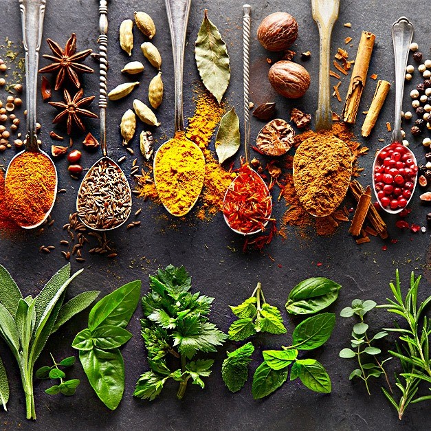 Putting Botanic Choice Under the Microscope: My Honest Review as a Consumer