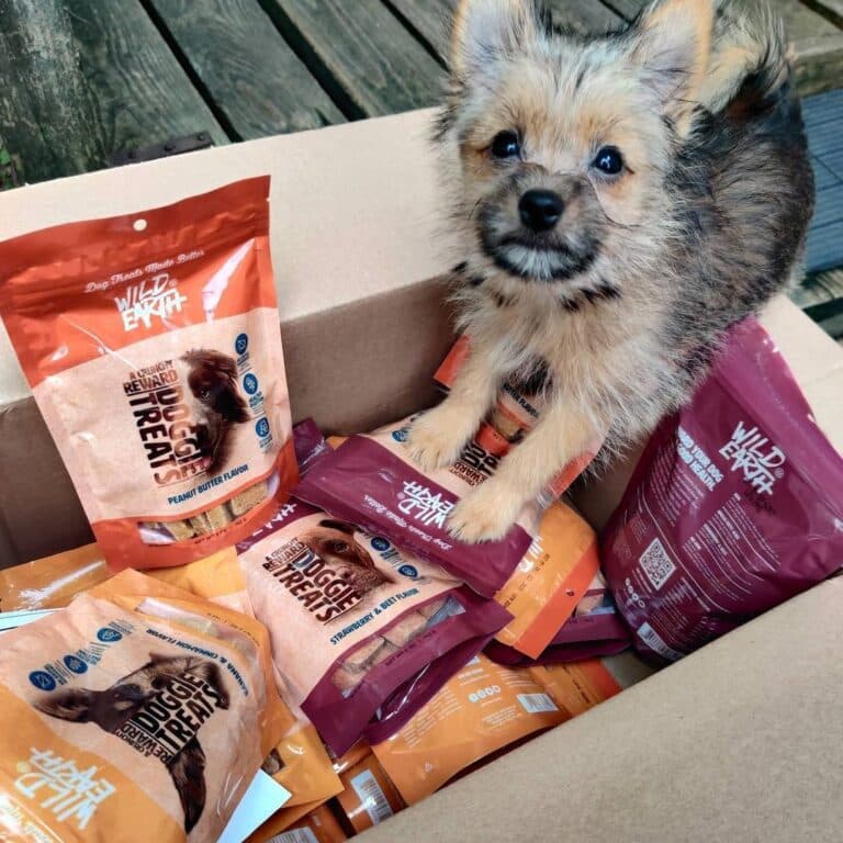 My Authentic 2528-Word Wild Earth Dog Food Review