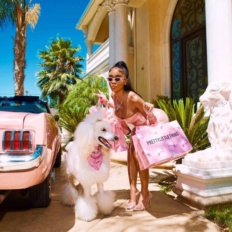 My Quest for Affordable Fashion: Discovering 20+ Stores Like PrettyLittleThing