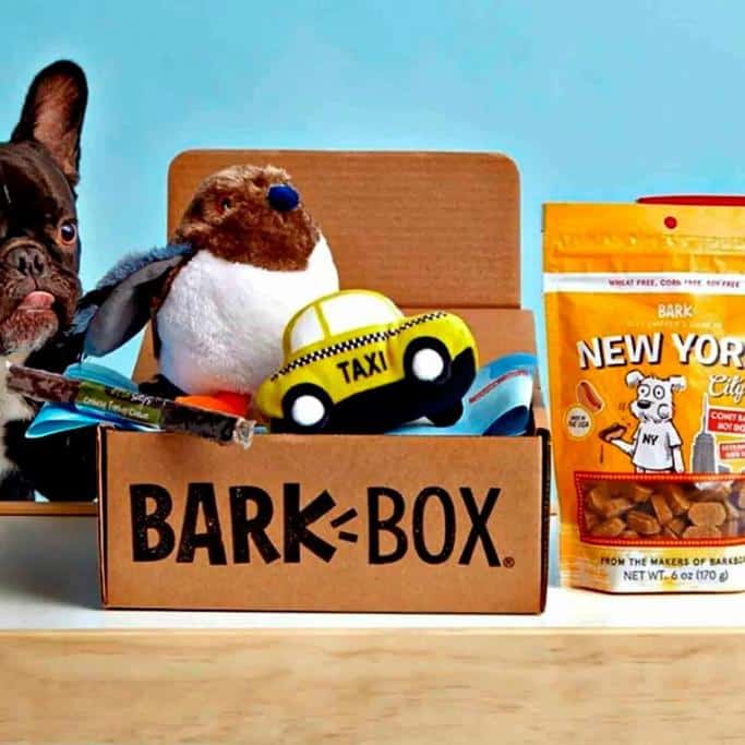 Deciding Between Barkbox vs Pupbox? My Year-Long Review Reveals the Best Choice