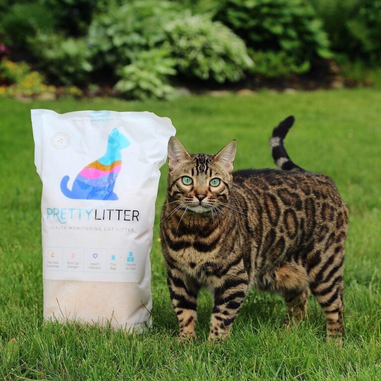 My Extensive Hands-On Review: Does Pretty Litter Really Detect Illness Early?