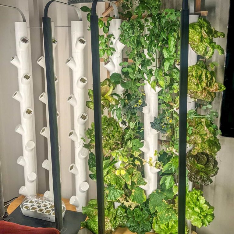 My Hands-On Gardyn Smart Garden Review: Everything You Need to Know After 6 Months of Testing