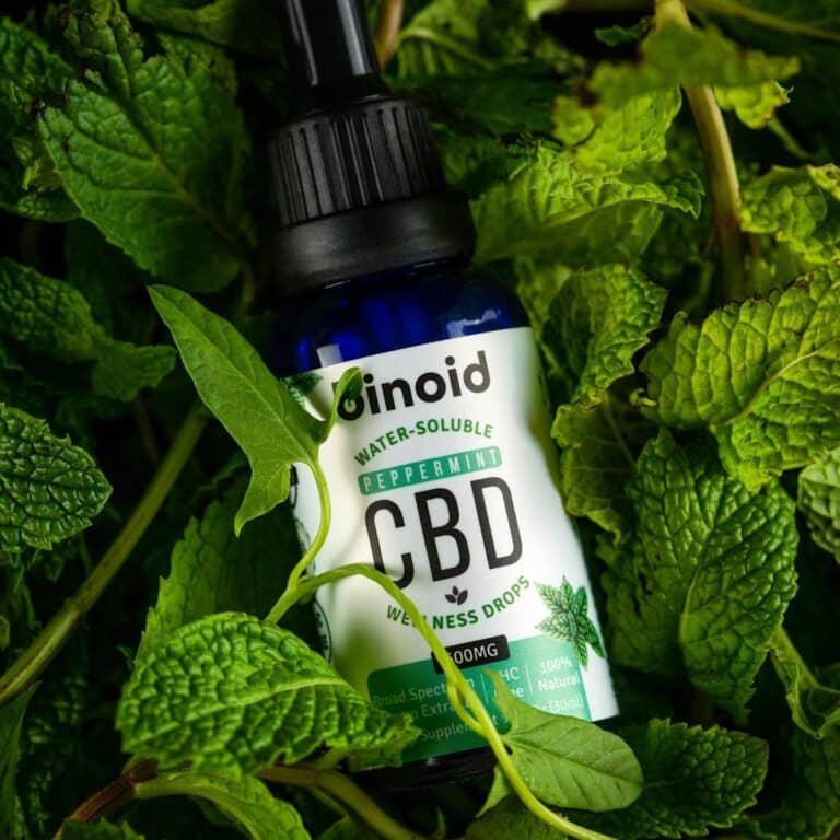 My Honest Thoughts After Using Binoid CBD Products for 6 Months