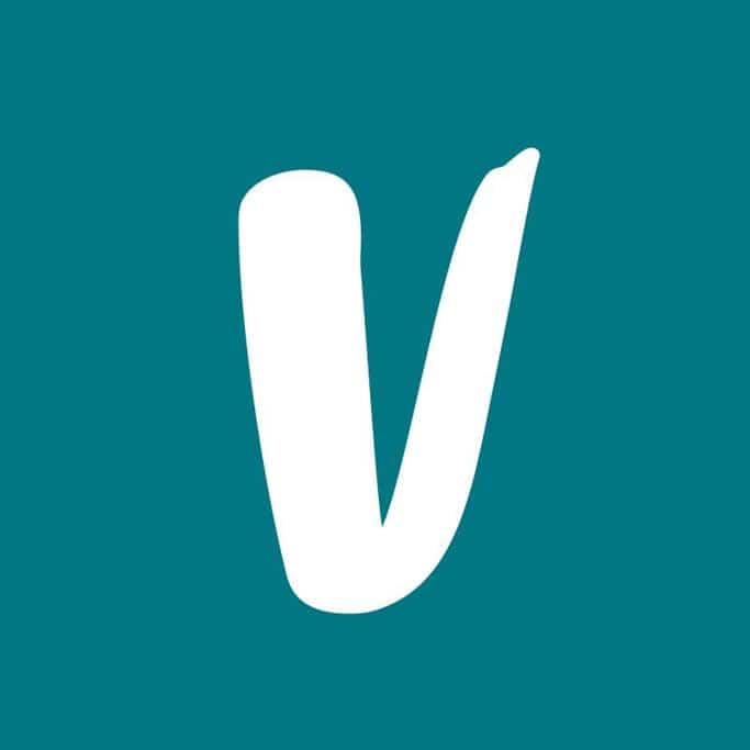 Vinted Under the Microscope: A 10-Year Pro&lsquo;s Comprehensive Analysis