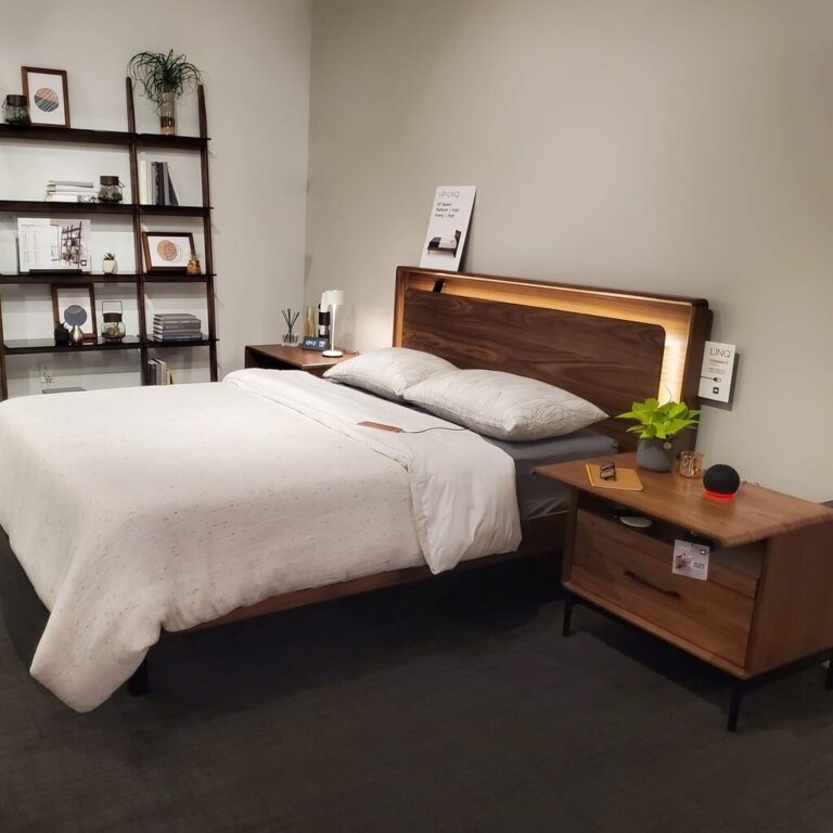 The Complete Expert 2023 Review: Why Does BDI Furniture Command Such Premium Pricing?