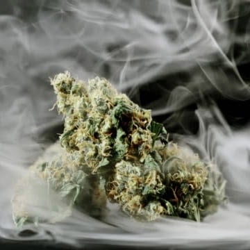 Dr. Strains CBD Review: Quality Affordable Hemp Products to Suit Your Needs