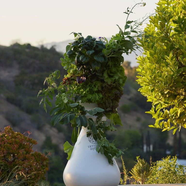 Can Lettuce Grow&lsquo;s Farmstand Give You a Green Thumb? A Comprehensive Review