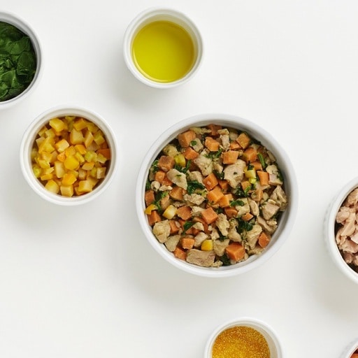 My Journey to the Healthiest Human-Grade Dog Food