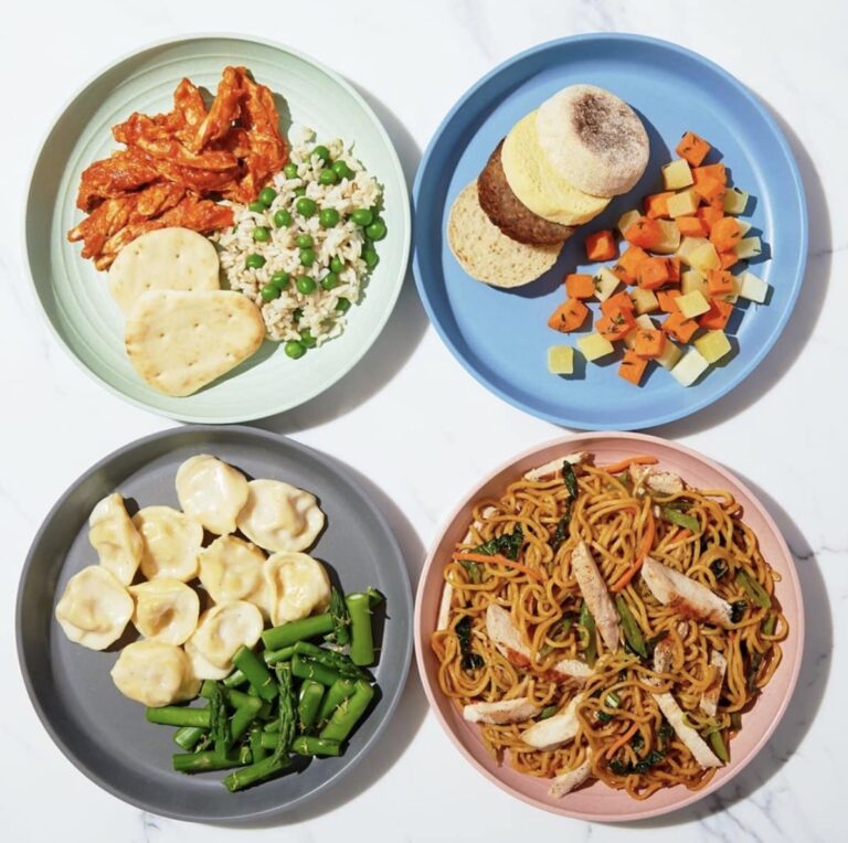 Nurture Life Subscription Review: Wholesome Kids Meals Worth Your Money?