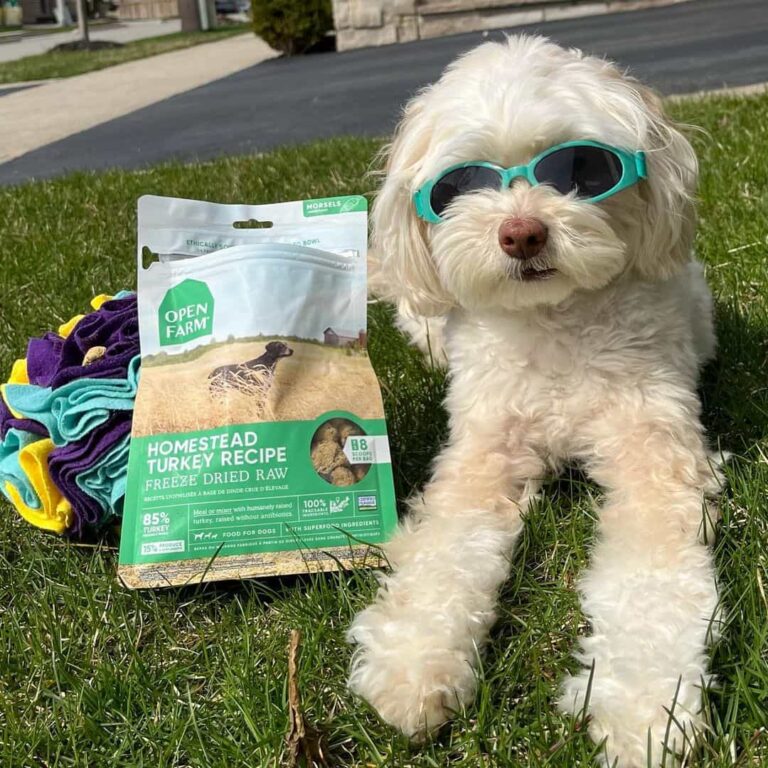 The Open Farm Standard: A New Era of Pet Food Ethics & Transparency