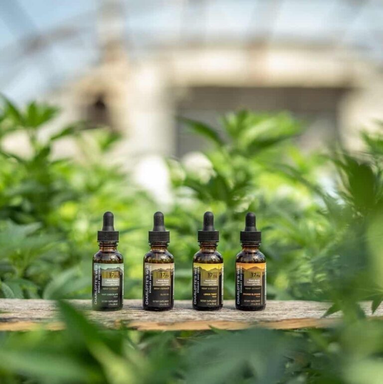 Charlotte&lsquo;s Web CBD Products: A 2532-Word Hands-On Review