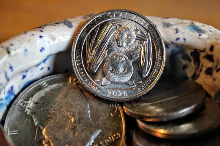 2020 Bat Quarter Value: What You Need to Know About This Unique Coin
