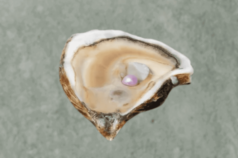 How Much Are Pearls Worth? The Ultimate Guide to Pearl Value