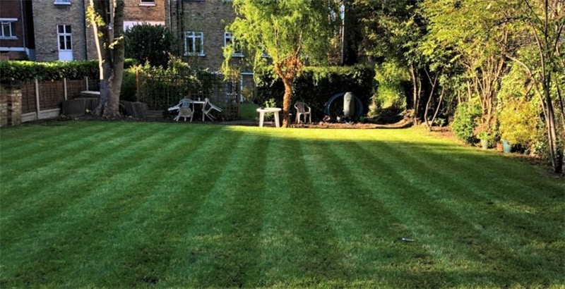 A Greener, Healthier Lawn