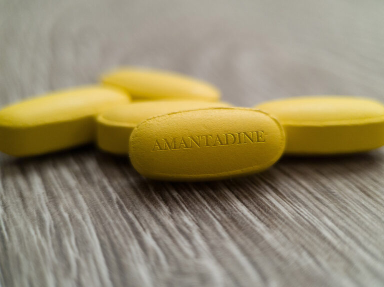 Amantadine for Dogs: A Comprehensive Guide to Relieving Your Dog&lsquo;s Chronic Pain