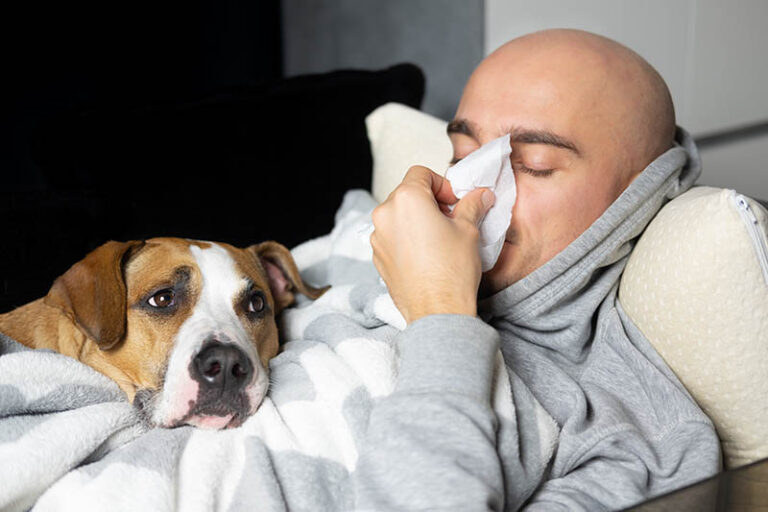Can Dogs Get Sick From Humans? What Every Pet Parent Should Know