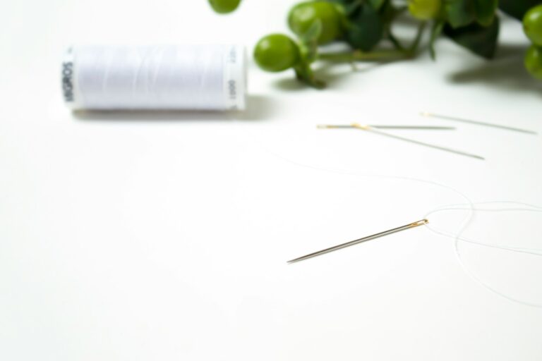 Help, My Dog Swallowed a Sewing Needle! A Dog Lover&lsquo;s Guide to Quick Action and Recovery