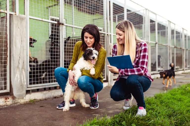 How to Foster a Dog: 5 Vet Recommendations