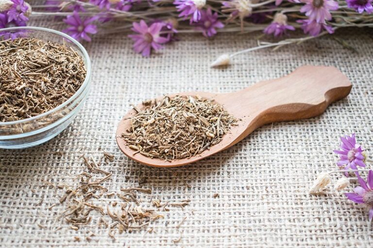 Valerian Root for Dogs: An In-Depth Guide for Pet Parents