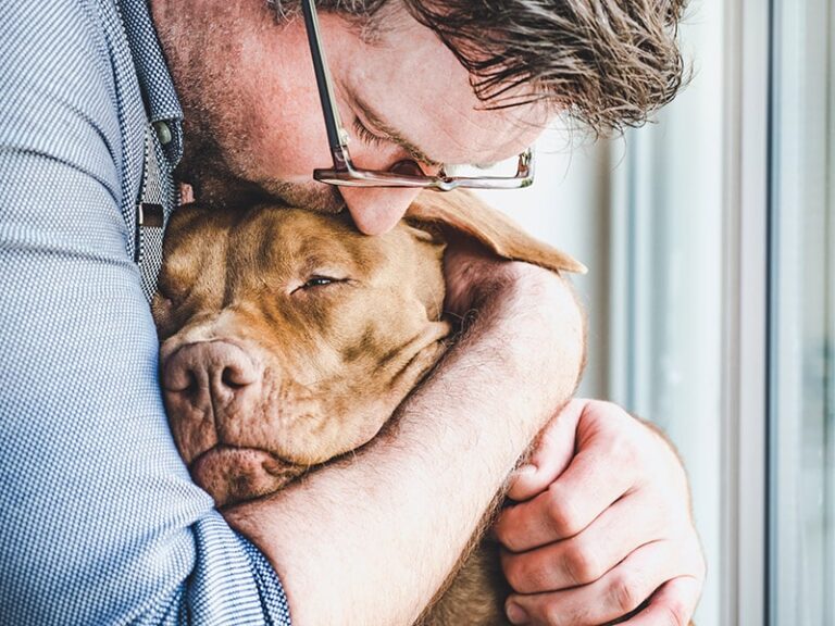 When to Euthanize a Dog With Cancer: A Compassionate Guide for Pet Owners