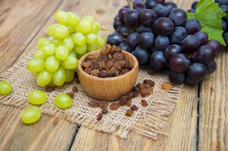Why Raisins & Grapes Are Toxic To Dogs: Our Vet Explains