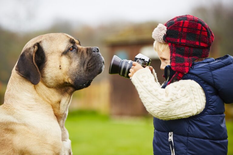 Are Cane Corsos Good With Kids? An Expert, In-Depth Guide