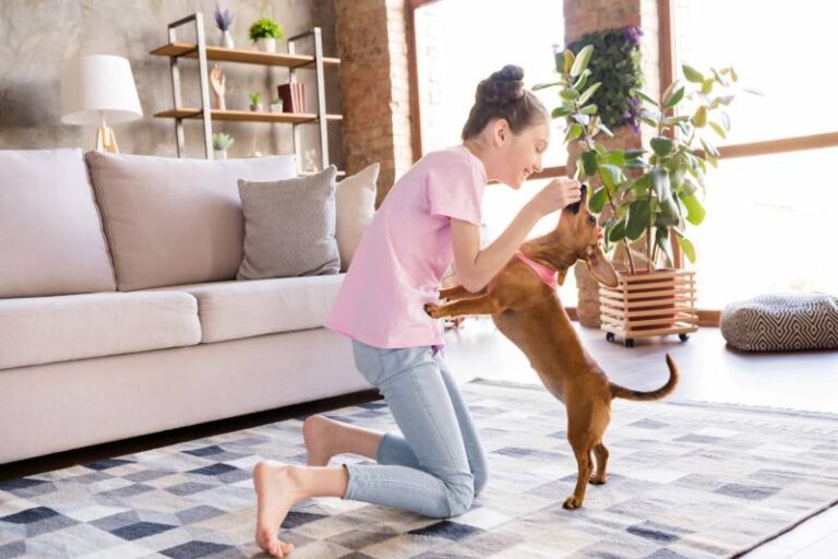 Are Dachshunds Good With Kids? A Dog Lover&lsquo;s Perspective