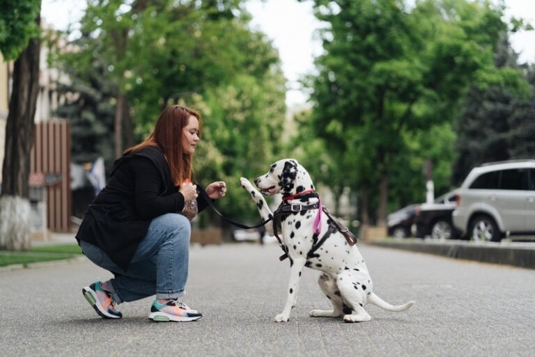 Are Dalmatians Good with Kids? A Dog Lover&lsquo;s Honest Take