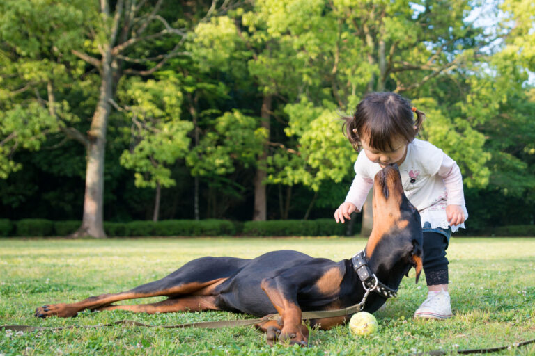Are Dobermans Good with Kids? A Dog Lover&lsquo;s Perspective